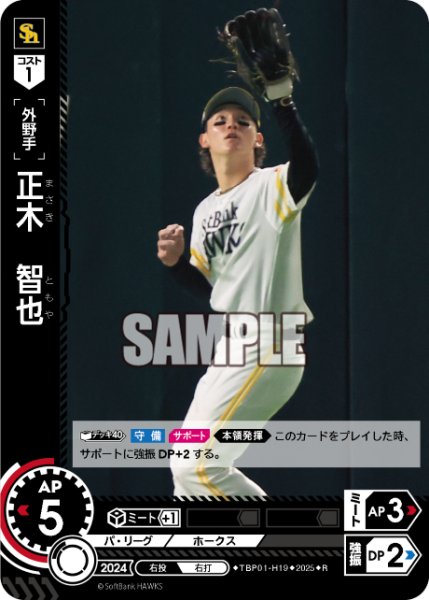 画像1: 正木　智也[PDO_TBP01-H19_R] (1)