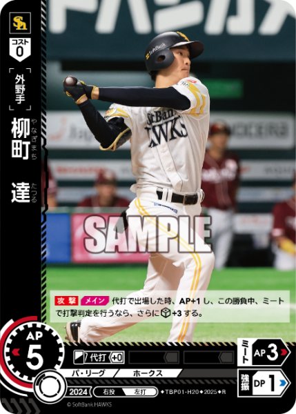 画像1: 柳町　達[PDO_TBP01-H20_R] (1)
