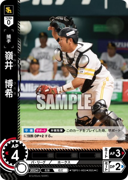 画像1: 嶺井　博希[PDO_TBP01-H33_C] (1)