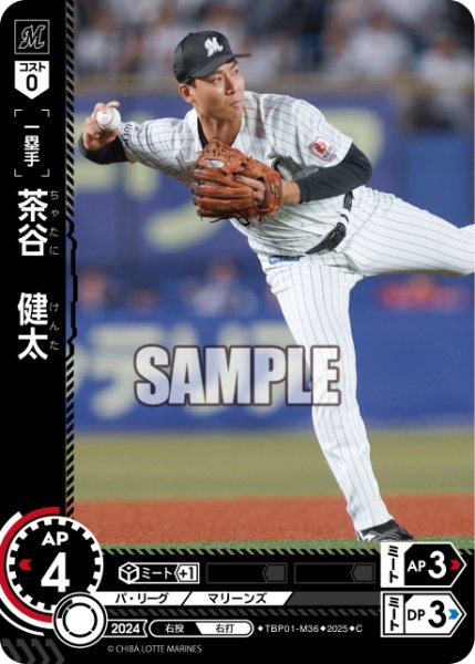 画像1: 茶谷　健太[PDO_TBP01-M36_C] (1)