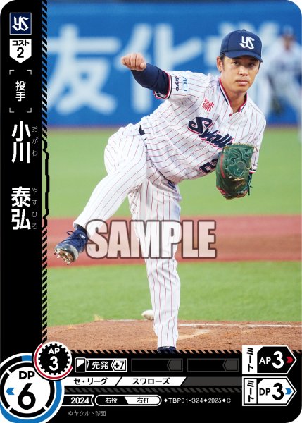 画像1: 小川　泰弘[PDO_TBP01-S24_C] (1)