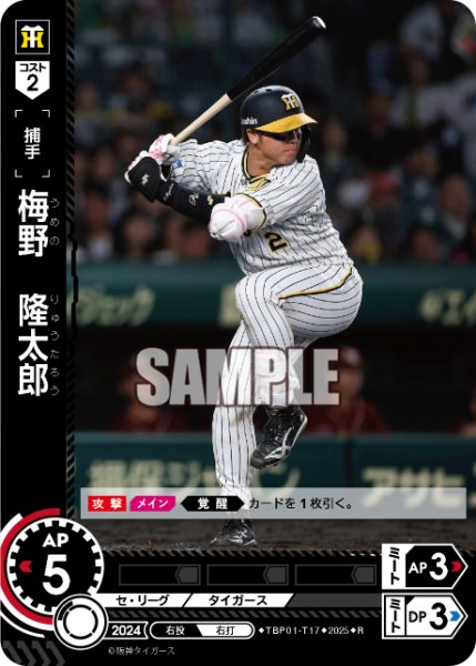 画像1: 梅野　隆太郎[PDO_TBP01-T17_R] (1)