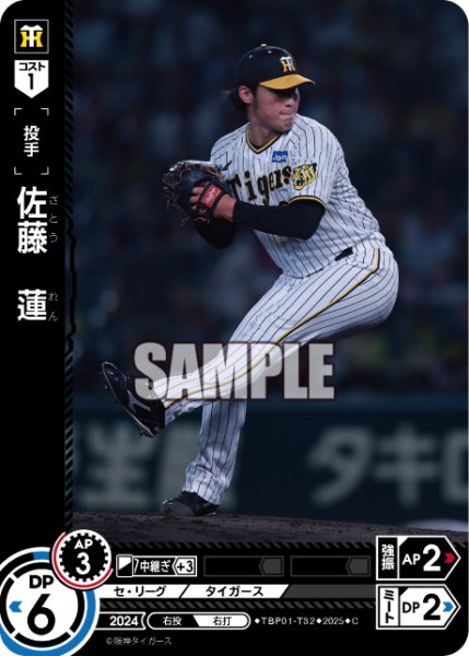 画像1: 佐藤　蓮[PDO_TBP01-T32_C] (1)