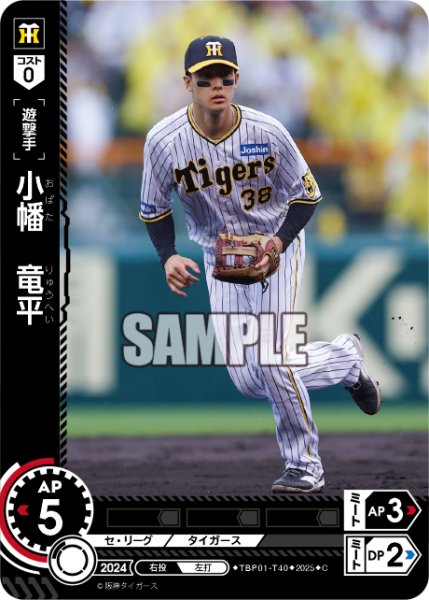 画像1: 小幡　竜平[PDO_TBP01-T40_C] (1)