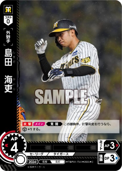 画像1: 島田　海吏[PDO_TBP01-T41_C] (1)