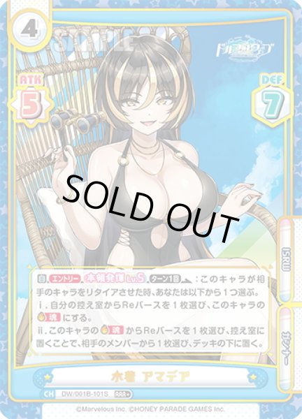 画像1: 【RRR+仕様】水着 アマデア[Re_DW/001B-101S] (1)