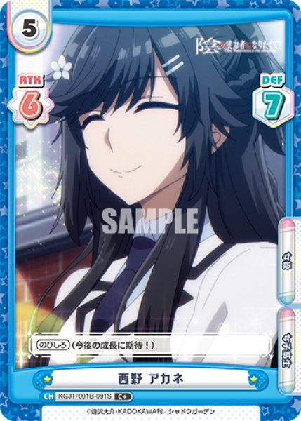 画像1: 【C+仕様】西野 アカネ[Re_KGJT/001B-091S] (1)