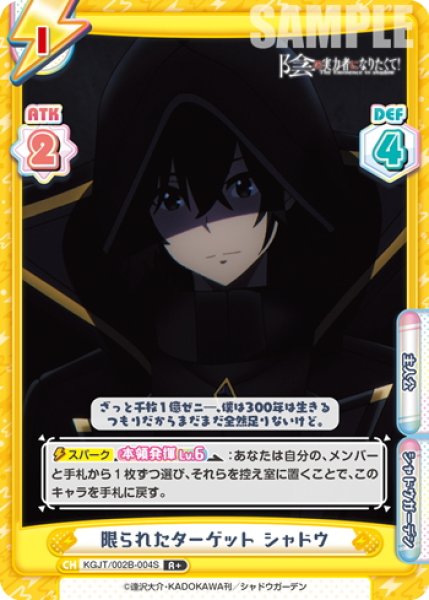 画像1: 【R+仕様】限られたターゲット シャドウ[Re_KGJT/002B-004S] (1)