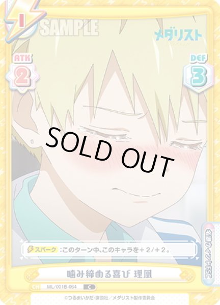 画像1: 噛み締める喜び 理凰[Re_ML/001B-064C] (1)