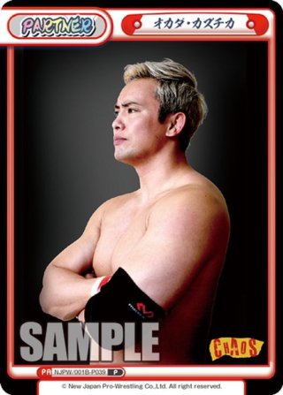 Rebirth for you/New Japan Pro-Wrestling Vol.2]臨戦態勢 飯伏