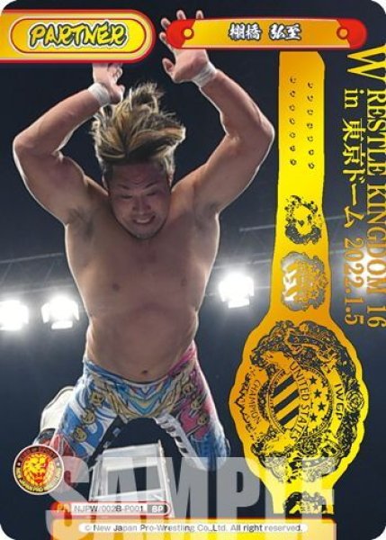 画像1: 【BP仕様】棚橋 弘至[Re_NJPW/002B-P001BP] (1)