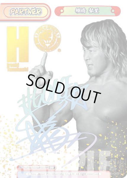画像1: 【PP仕様】棚橋 弘至[Re_NJPW/002B-P001PP] (1)