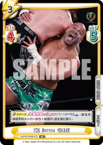 画像1: TOA Bottom HENARE[Re_NJPW/003B-072RR] (1)