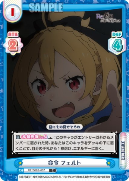 画像1: 命令 フェルト[Re_RZ/002B-037C] (1)