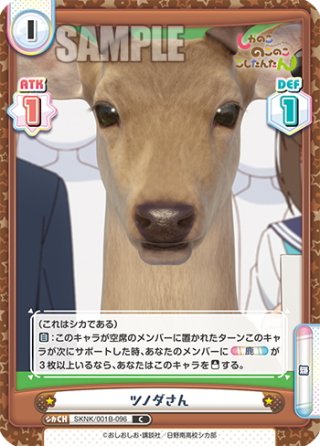 ナツキ・スバル[Re_IQ/001B-010RR[RZ]] - マスターズスクウェア通販