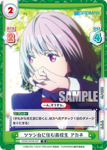 画像1: ツツジ台に住む高校生 アカネ[Re_SSSS/001B-037R] (1)