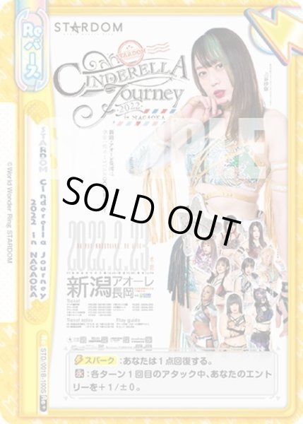 画像1: 【Re+仕様】STARDOM Cinderella Journey 2022 in NAGAOKA[Re_STD/001B-100S] (1)