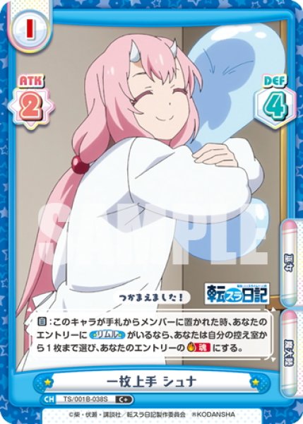 画像1: 【C+仕様】一枚上手 シュナ[Re_TS/001B-038S] (1)