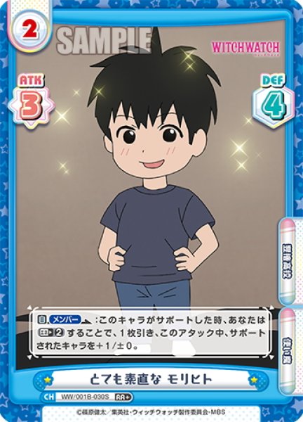 画像1: 【RR+仕様】とても素直な モリヒト[Re_WW/001B-030S] (1)