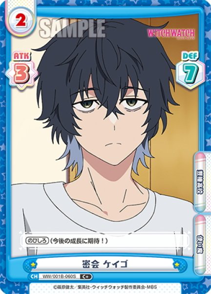 画像1: 【C+仕様】密会 ケイゴ[Re_WW/001B-060S] (1)
