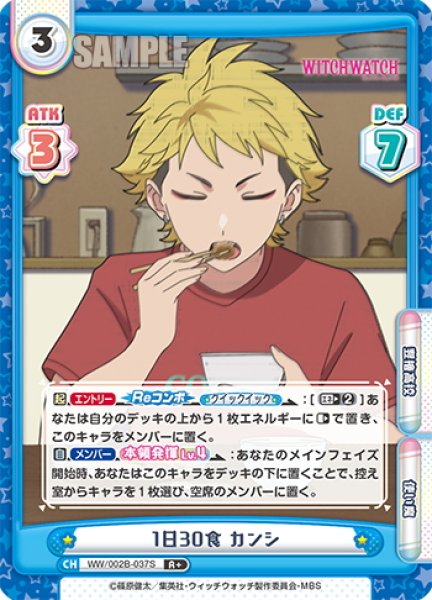 画像1: 【R+仕様】1日30食 カンシ[Re_WW/002B-037S] (1)