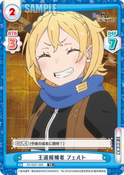 画像1: 王選候補者 フェルト[Re_RZ/002T-009TD] (1)