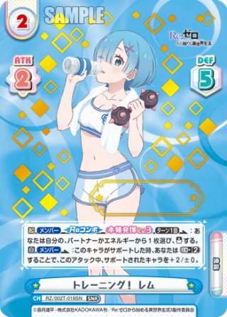 Reバース SNR 花柄の袴 レム SNR仕様】花柄の袴 レム[Re_RZ/001T-006SN] - マスターズスクウェア