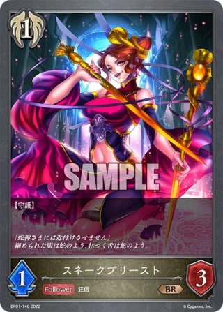 FFR仕様】超次元ロボ ダイカイザー[VG_DZ-BT09/FFR08