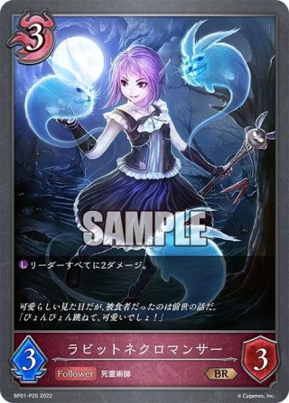 未来へと踏み出す一歩 アーニャ・メルフィッサ[WS_HOL/W104-105C