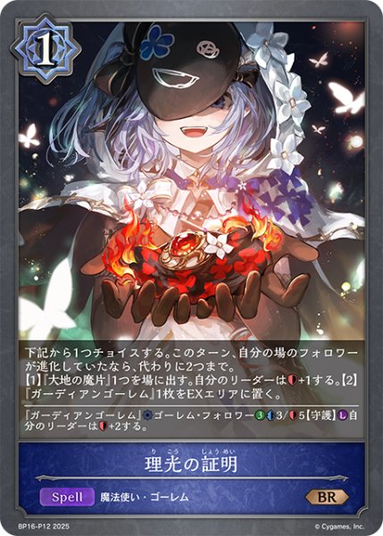 画像1: ★BRプレミアム★理光の証明[SVE_BP16-P12_BR] (1)