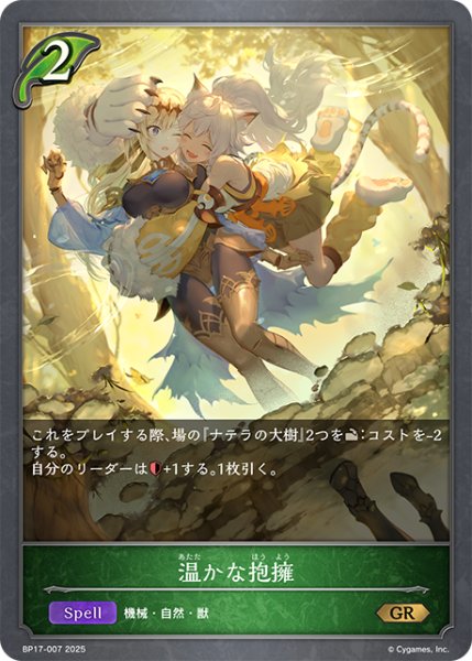 画像1: 温かな抱擁[SVE_BP17-007_GR] (1)