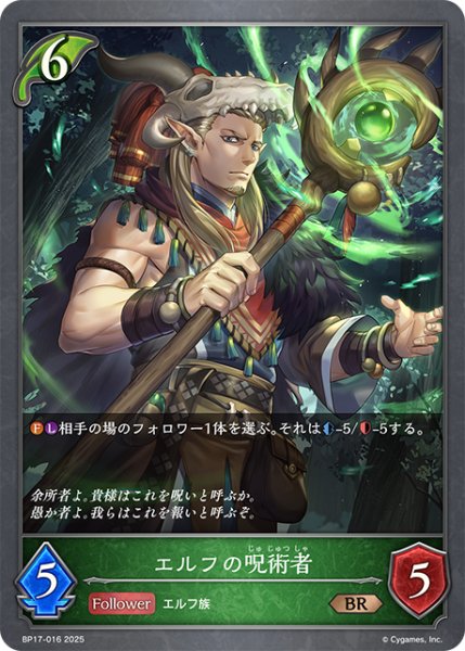 画像1: エルフの呪術者[SVE_BP17-016_BR] (1)