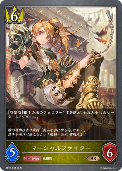 画像1: マーシャルファイター[SVE_BP17-034_BR] (1)