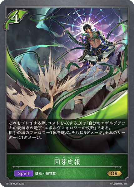 画像1: 因芽応報[SVE_BP18-008_GR] (1)