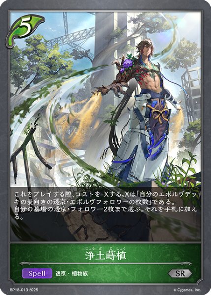 画像1: 浄土蒔植[SVE_BP18-013_SR] (1)