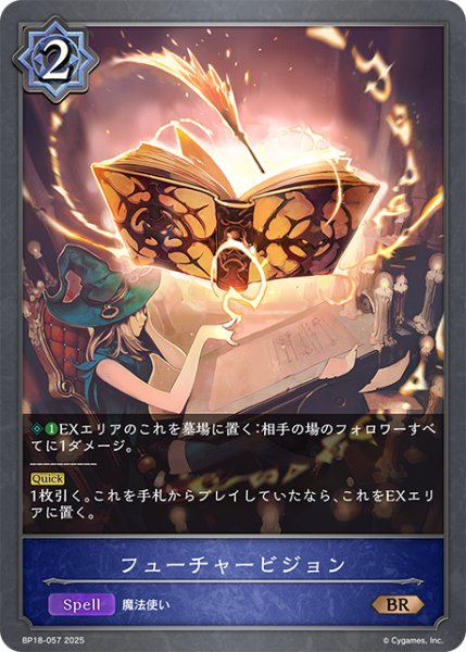 画像1: フューチャービジョン[SVE_BP18-057_BR] (1)