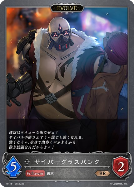 画像1: 【EVOLVE】サイバーグラスパンク[SVE_BP18-125_BR] (1)