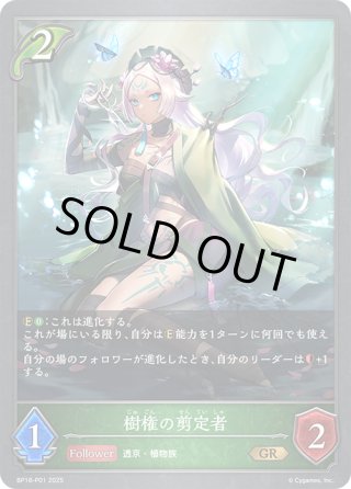 ☆SLプレミアム☆鋼鉄と大地の神[SVE_BP12-SL27_SL] - マスターズ