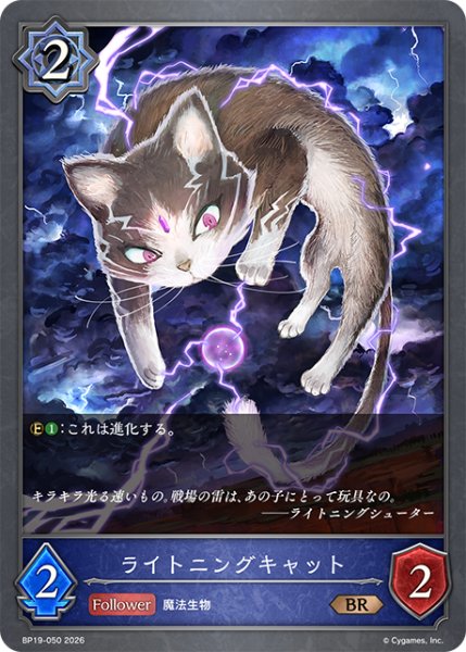 画像1: ライトニングキャット[SVE_BP19-050_BR] (1)