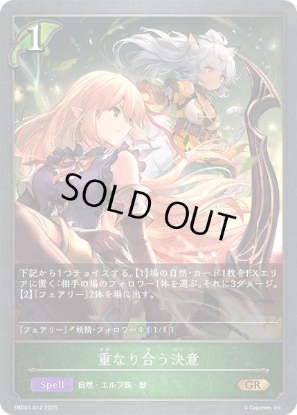 画像1: 重なり合う決意[SVE_EBD01-012_GR] (1)