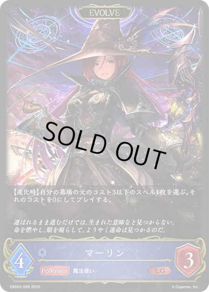 画像1: 【EVOLVE】マーリン[SVE_EBD02-005_LG] (1)