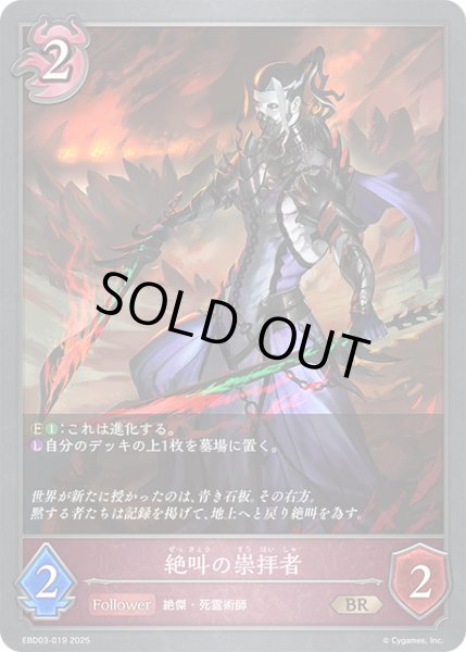 画像1: 絶叫の崇拝者[SVE_EBD03-019_BR] (1)