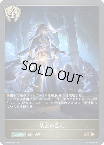 画像1: 禁密の聖地[SVE_EBD04-019_BR] (1)