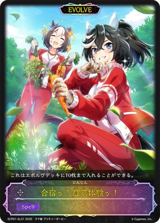 ☆SLプレミアム☆真実の絶傑・ライオ[SVE_BP05-SL07 SL] - マスターズ