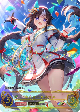 Amazon.co.jp: シャドウバースエボルヴ シュヴァルグラン 進化後