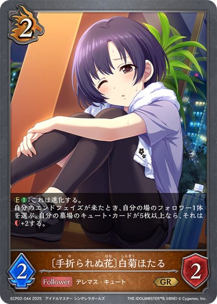 画像1: 〔手折られぬ花〕白菊ほたる[SVE_ECP02-044_GR] (1)