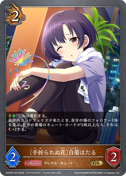 画像1: ★GRプレミアム★〔手折られぬ花〕白菊ほたる[SVE_ECP02-P23_GR] (1)