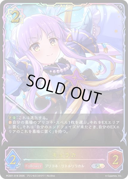 画像1: ★SLプレミアム★キョウカ[SVE_PSC01-SL18_SL] (1)