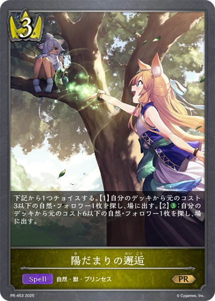 画像1: ★PR版プレミアム★陽だまりの邂逅[SVE_PR-453PR] (1)