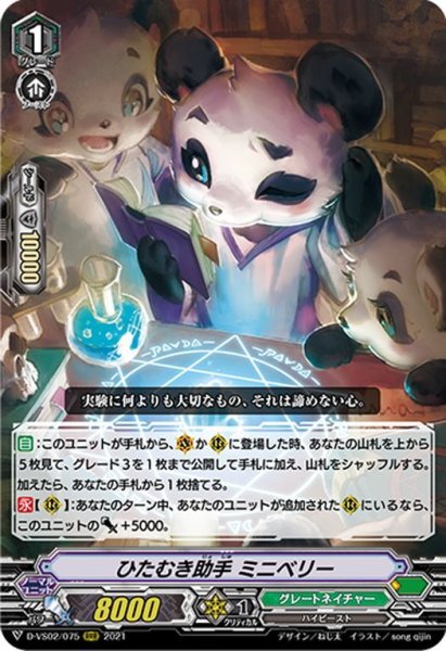 画像1: ひたむき助手 ミニベリー[VG_D-VS02/075RRR] (1)